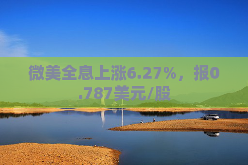 微美全息上涨6.27%，报0.787美元/股