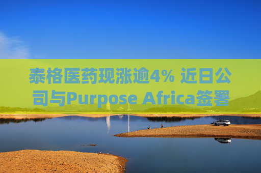 泰格医药现涨逾4% 近日公司与Purpose Africa签署合作备忘录