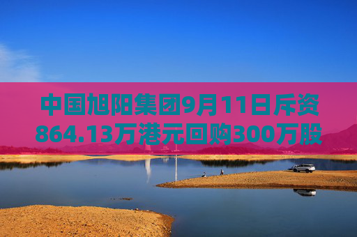 中国旭阳集团9月11日斥资864.13万港元回购300万股