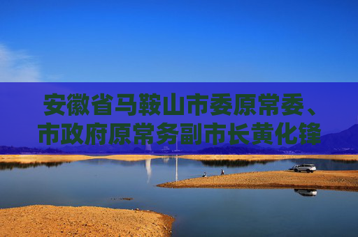 安徽省马鞍山市委原常委、市政府原常务副市长黄化锋被开除党籍和公职