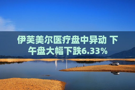 伊芙美尔医疗盘中异动 下午盘大幅下跌6.33%