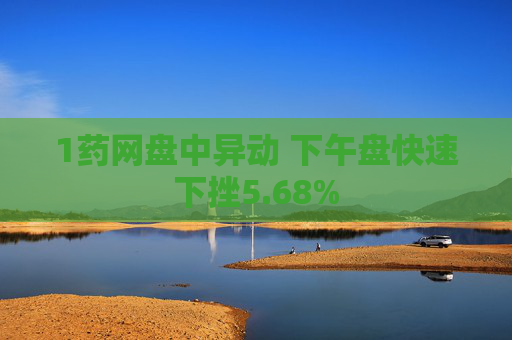 1药网盘中异动 下午盘快速下挫5.68%