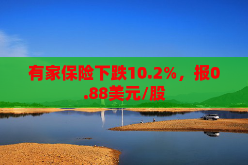 有家保险下跌10.2%，报0.88美元/股