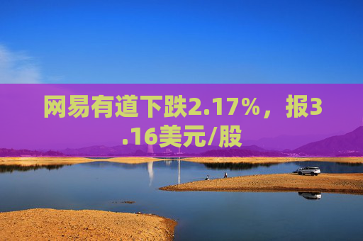 网易有道下跌2.17%，报3.16美元/股