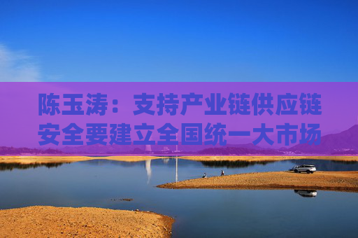 陈玉涛：支持产业链供应链安全要建立全国统一大市场，实现国内国际双循环