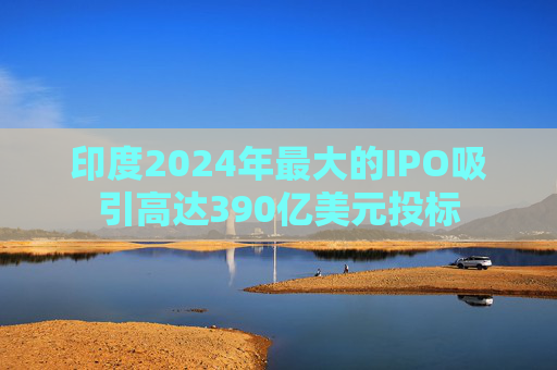 印度2024年最大的IPO吸引高达390亿美元投标