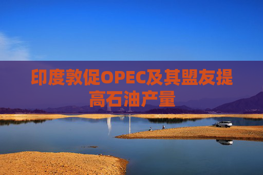 印度敦促OPEC及其盟友提高石油产量