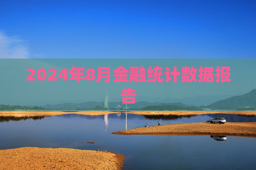 2024年8月金融统计数据报告