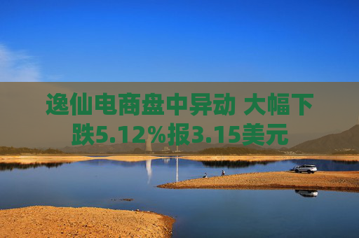 逸仙电商盘中异动 大幅下跌5.12%报3.15美元