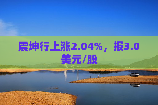 震坤行上涨2.04%，报3.0美元/股