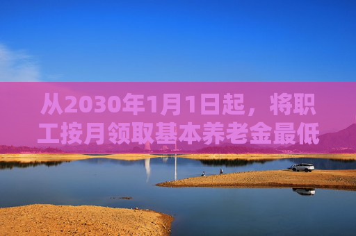 从2030年1月1日起，将职工按月领取基本养老金最低缴费年限由十五年逐步提高至二十年