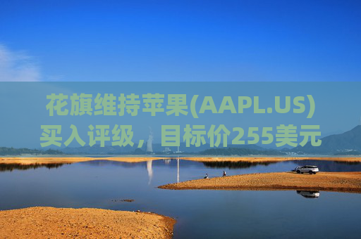 花旗维持苹果(AAPL.US)买入评级，目标价255美元