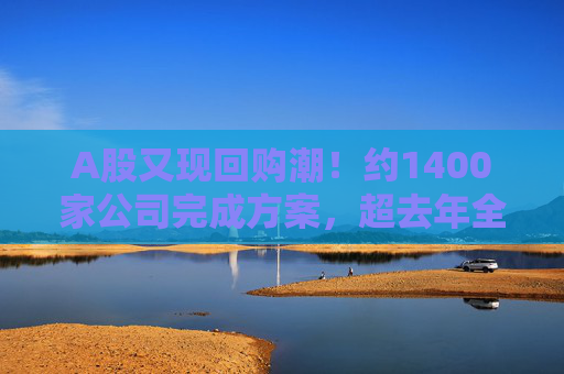 A股又现回购潮！约1400家公司完成方案，超去年全年！