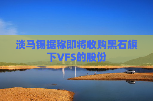 淡马锡据称即将收购黑石旗下VFS的股份