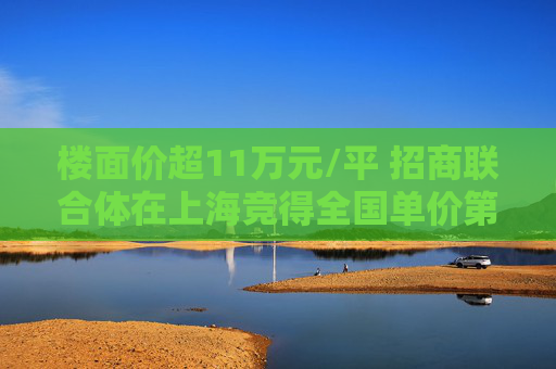 楼面价超11万元/平 招商联合体在上海竞得全国单价第二高地王