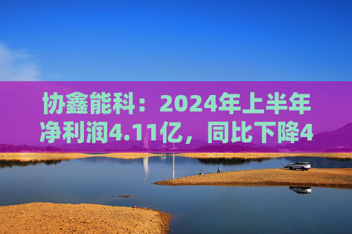 协鑫能科：2024年上半年净利润4.11亿，同比下降48.25%