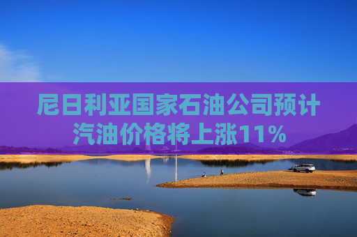 尼日利亚国家石油公司预计汽油价格将上涨11%