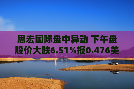 思宏国际盘中异动 下午盘股价大跌6.51%报0.476美元