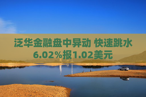 泛华金融盘中异动 快速跳水6.02%报1.02美元