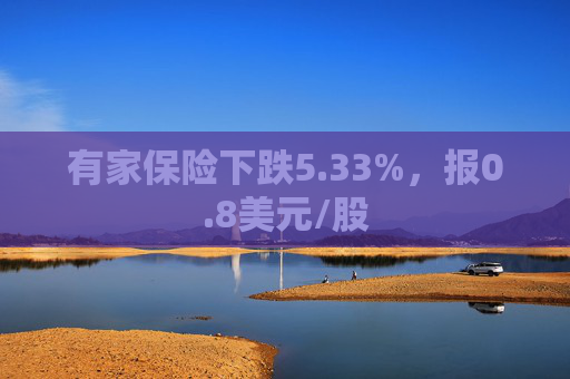 有家保险下跌5.33%，报0.8美元/股