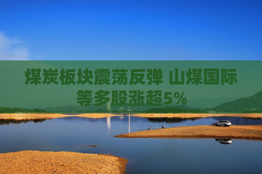 煤炭板块震荡反弹 山煤国际等多股涨超5%