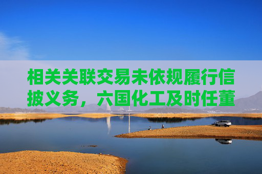 相关关联交易未依规履行信披义务，六国化工及时任董秘邢金俄遭上交所监管警示