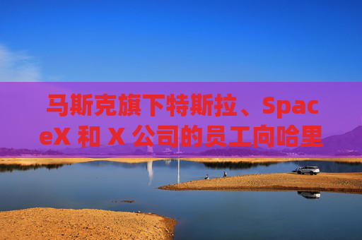 马斯克旗下特斯拉、SpaceX 和 X 公司的员工向哈里斯捐款 而他本人支持特朗普