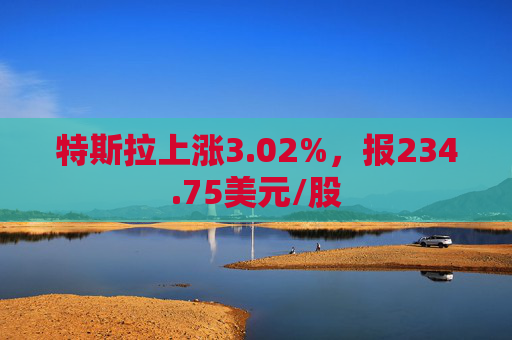 特斯拉上涨3.02%，报234.75美元/股