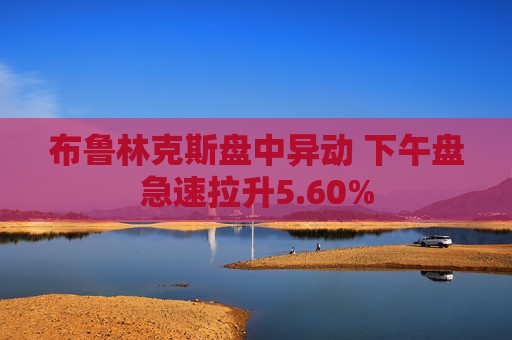 布鲁林克斯盘中异动 下午盘急速拉升5.60%