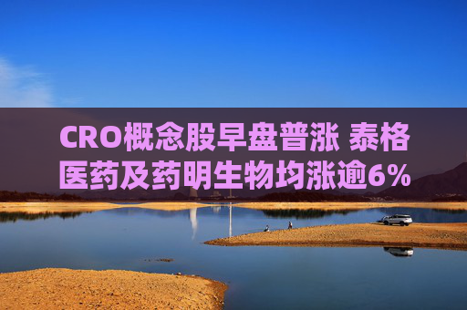 CRO概念股早盘普涨 泰格医药及药明生物均涨逾6%