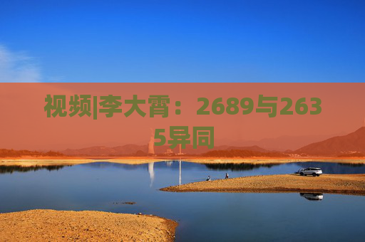 视频|李大霄：2689与2635异同