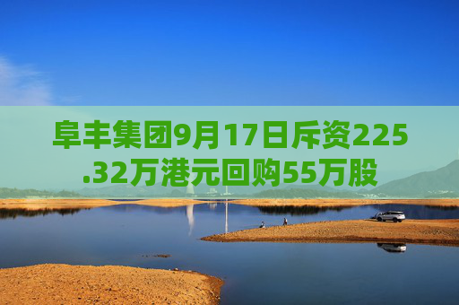 阜丰集团9月17日斥资225.32万港元回购55万股