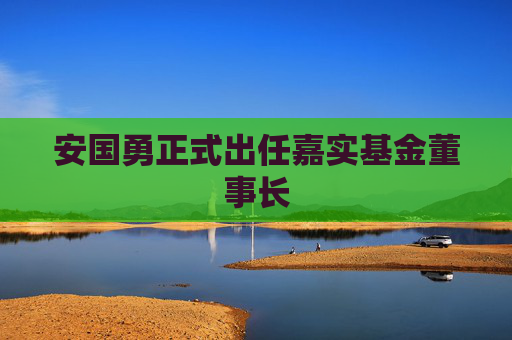 安国勇正式出任嘉实基金董事长