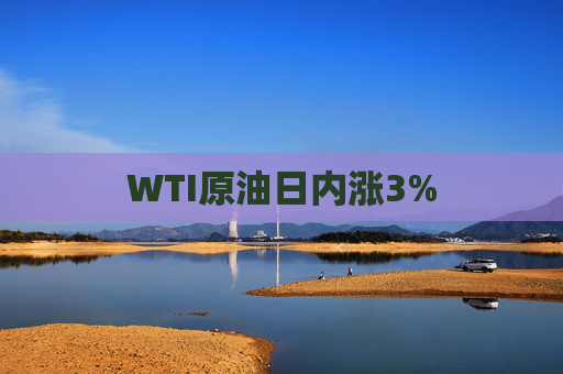 WTI原油日内涨3%