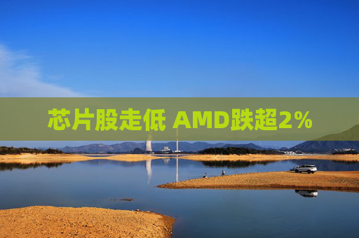 芯片股走低 AMD跌超2%