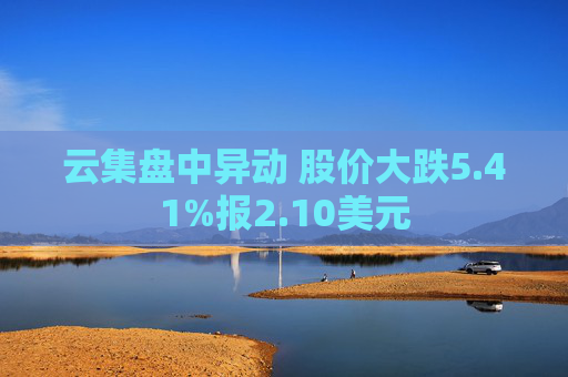 云集盘中异动 股价大跌5.41%报2.10美元