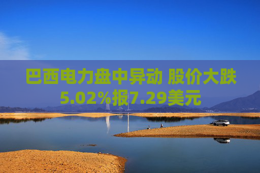 巴西电力盘中异动 股价大跌5.02%报7.29美元