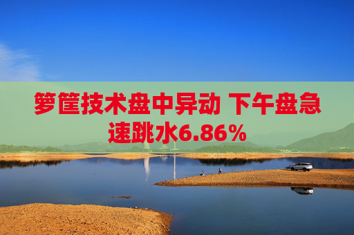 箩筐技术盘中异动 下午盘急速跳水6.86%