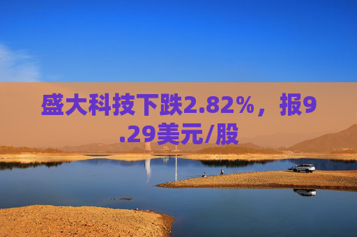 盛大科技下跌2.82%，报9.29美元/股