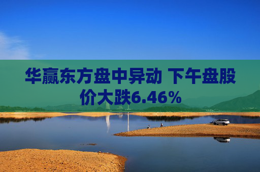 华赢东方盘中异动 下午盘股价大跌6.46%