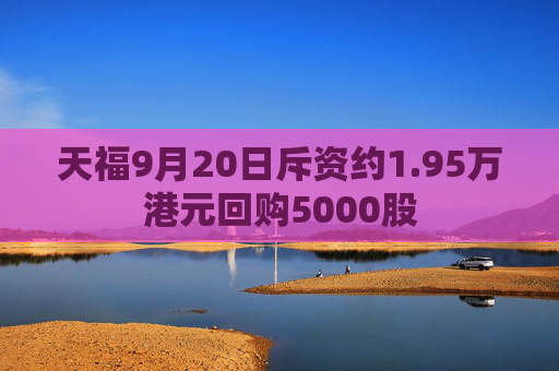 天福9月20日斥资约1.95万港元回购5000股