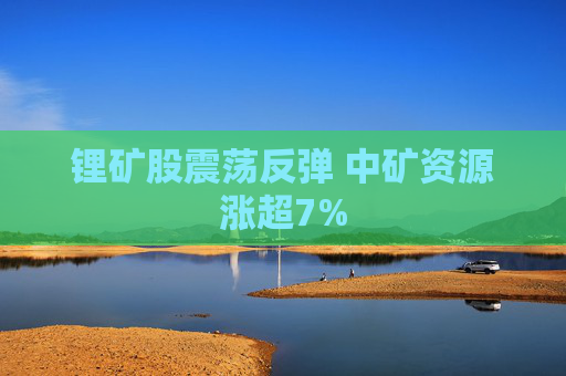 锂矿股震荡反弹 中矿资源涨超7%