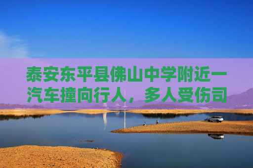 泰安东平县佛山中学附近一汽车撞向行人，多人受伤司机已被控制