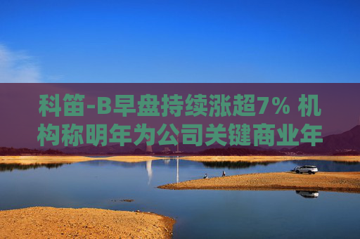 科笛-B早盘持续涨超7% 机构称明年为公司关键商业年