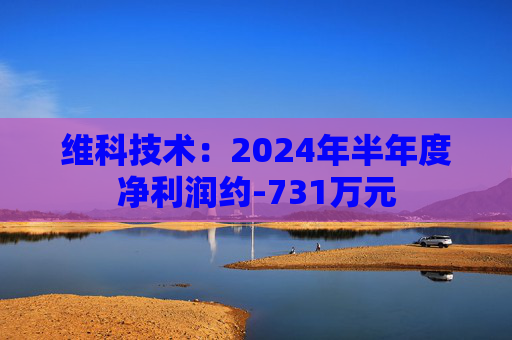 维科技术：2024年半年度净利润约-731万元