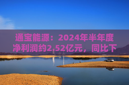 通宝能源：2024年半年度净利润约2.52亿元，同比下降36.49%