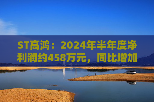 ST高鸿：2024年半年度净利润约458万元，同比增加32.72%