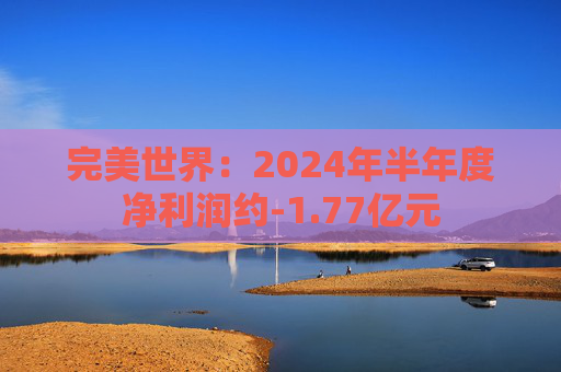 完美世界：2024年半年度净利润约-1.77亿元