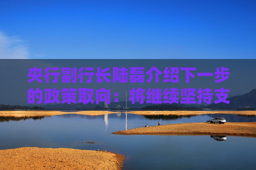 央行副行长陆磊介绍下一步的政策取向：将继续坚持支持性的货币政策，加快落实好已出台的政策举措