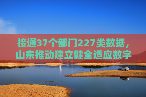 接通37个部门227类数据，山东推动建立健全适应数字经济发展的金融服务体系